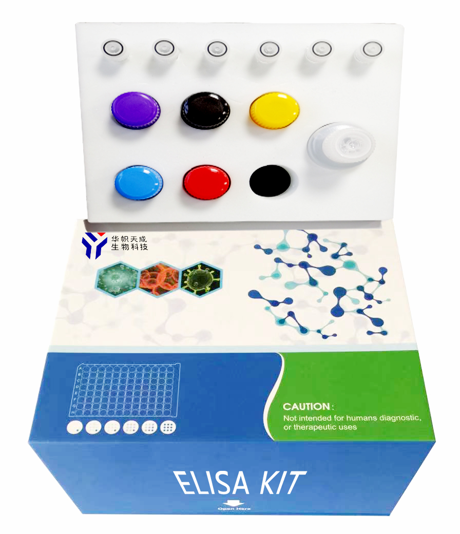 人線粒體呼吸鏈復合物Ⅳ(MRCC Ⅳ)ELISA試劑盒